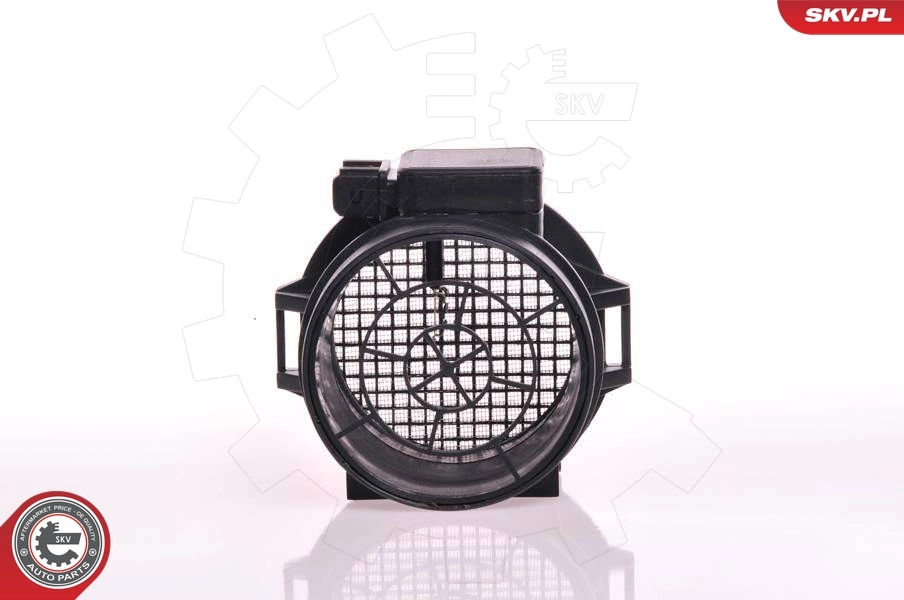 Mass Air Flow Sensor